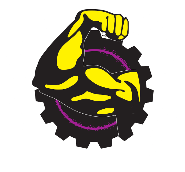 What's Your Excuse Fitness | Private Gym & Trainer, Disabled PT in Dublin