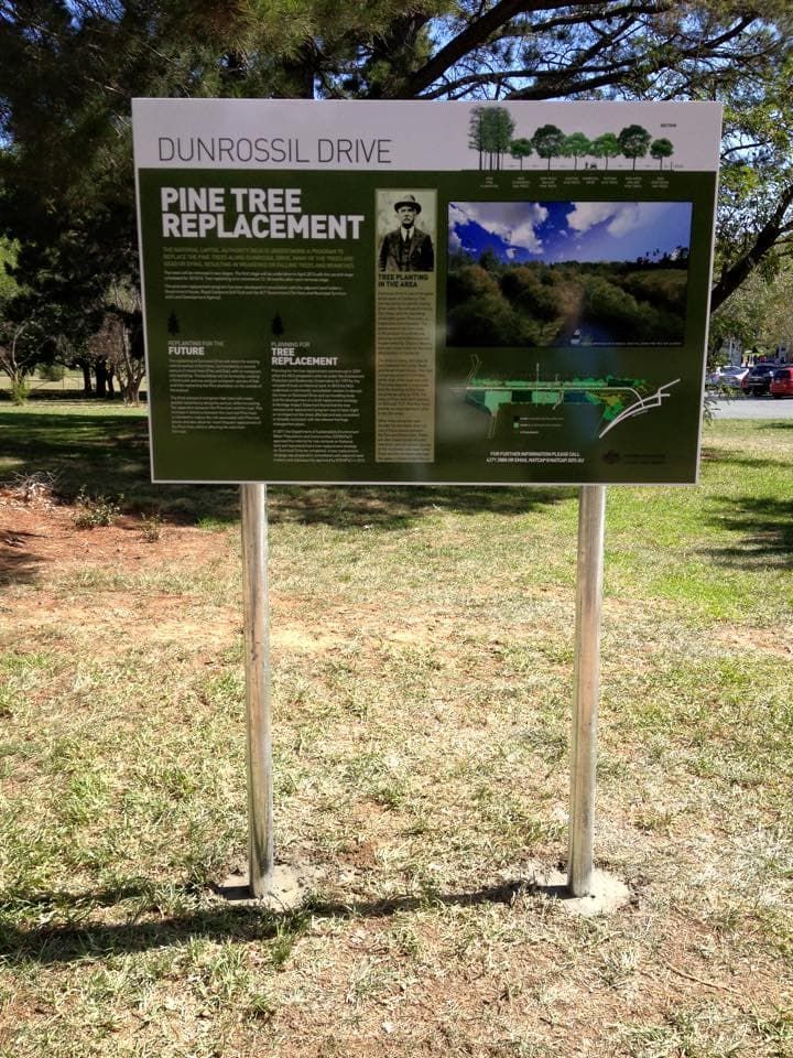 A Sign That Says Pine Tree Replacement Is Sitting In The Grass — Capital Signs in Cooma, NSW