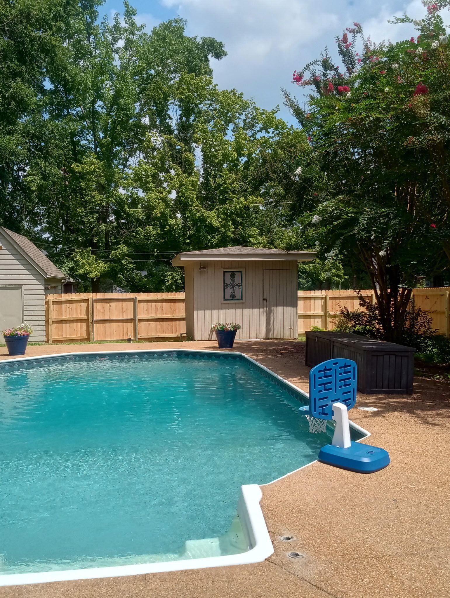 A backyard pool with a shed, a basketball hoop, trees, and a wooden fence.