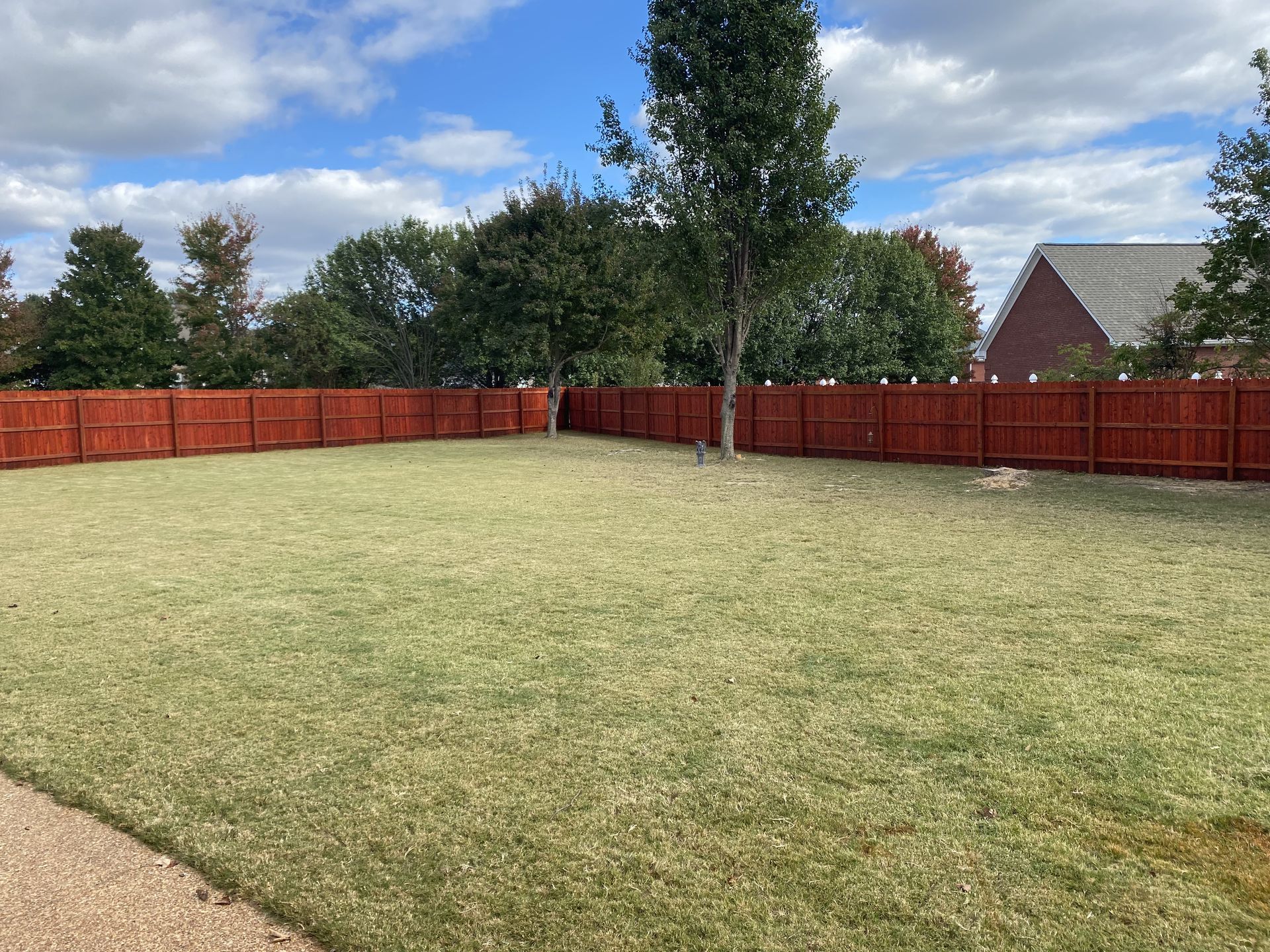 Brown wooden fence surrounds a green lawn with a tree. The sky is blue with clouds.