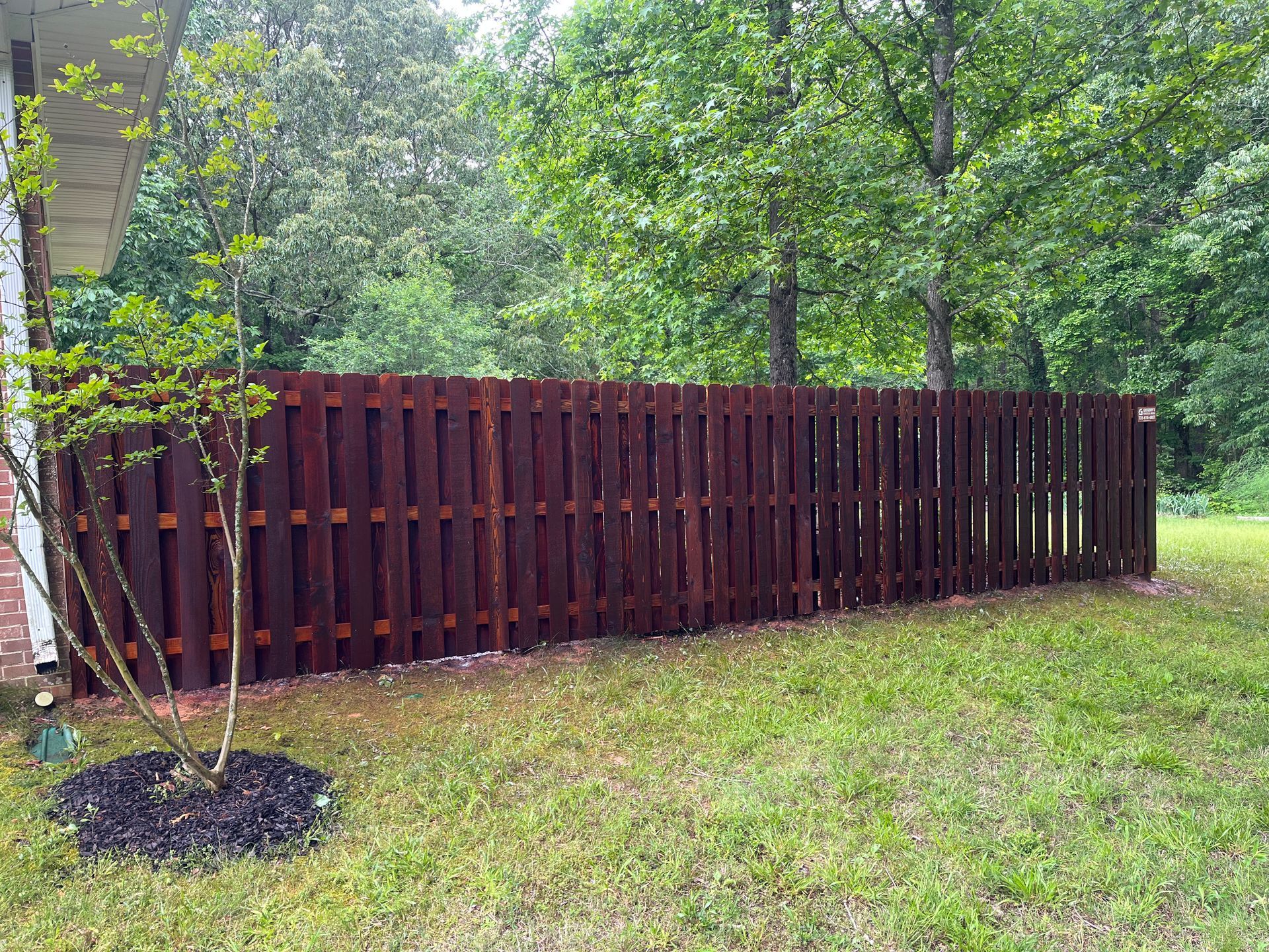 Brown wooden fence in a grassy yard, trees in the background.