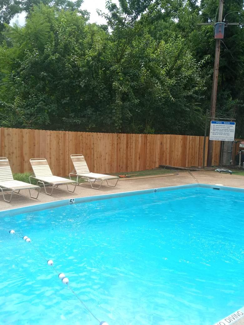 Pool with lounge chairs, brown fence, and trees in the background under a bright blue sky.