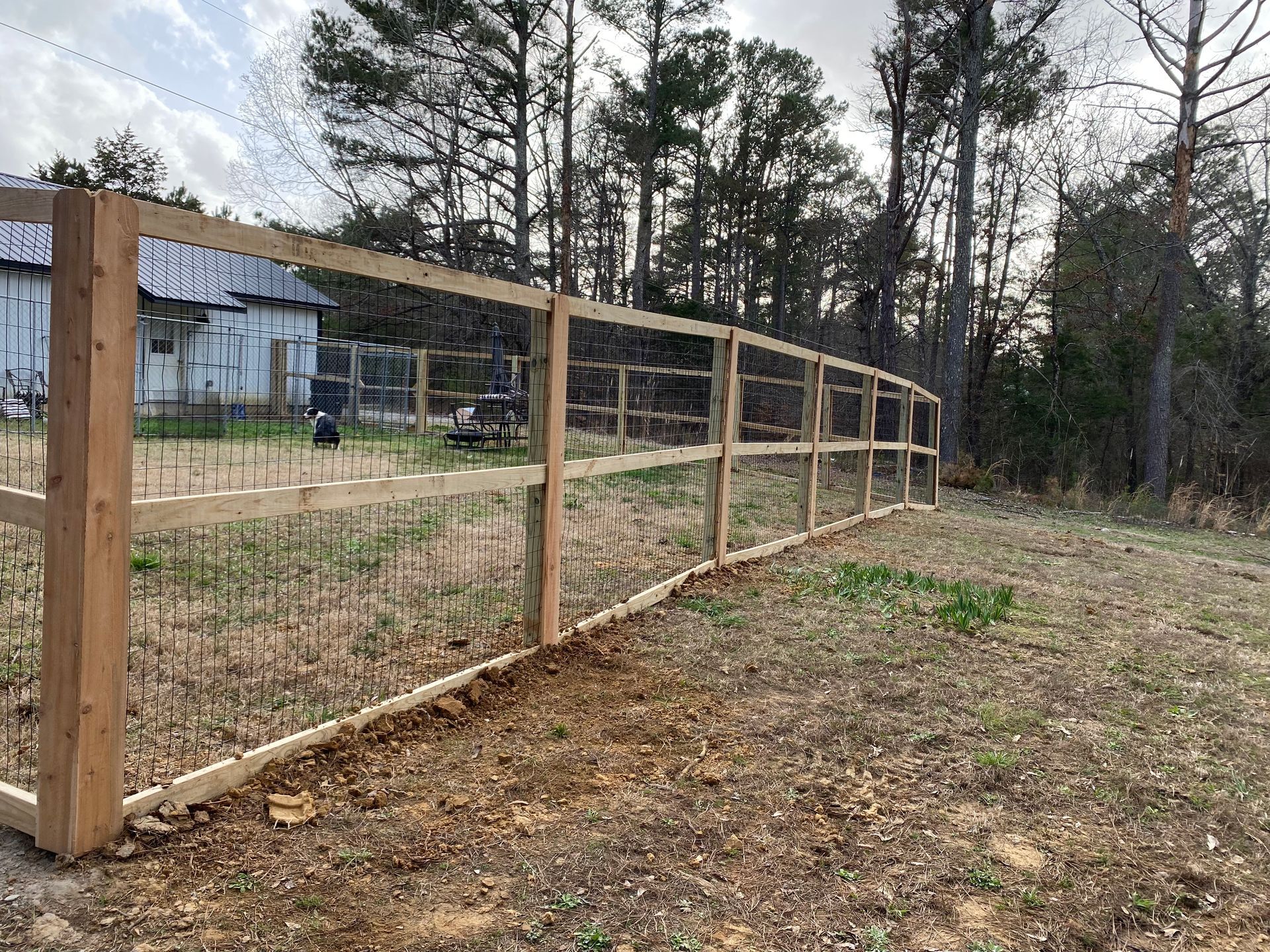 Wooden fence bordering a yard, with a building and trees in the background.