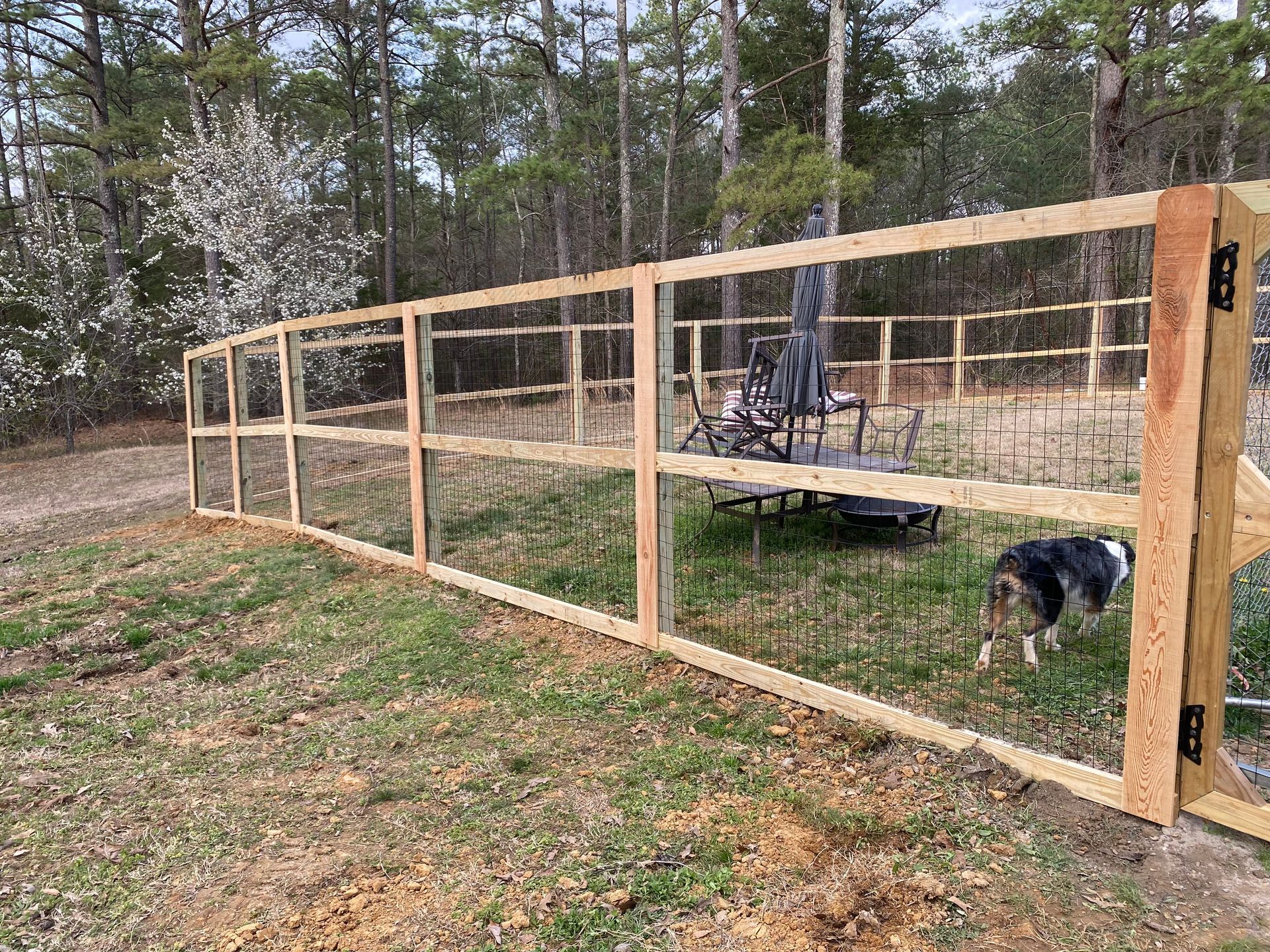 Wooden fence with wire mesh, a dog running in the yard, trees in background.