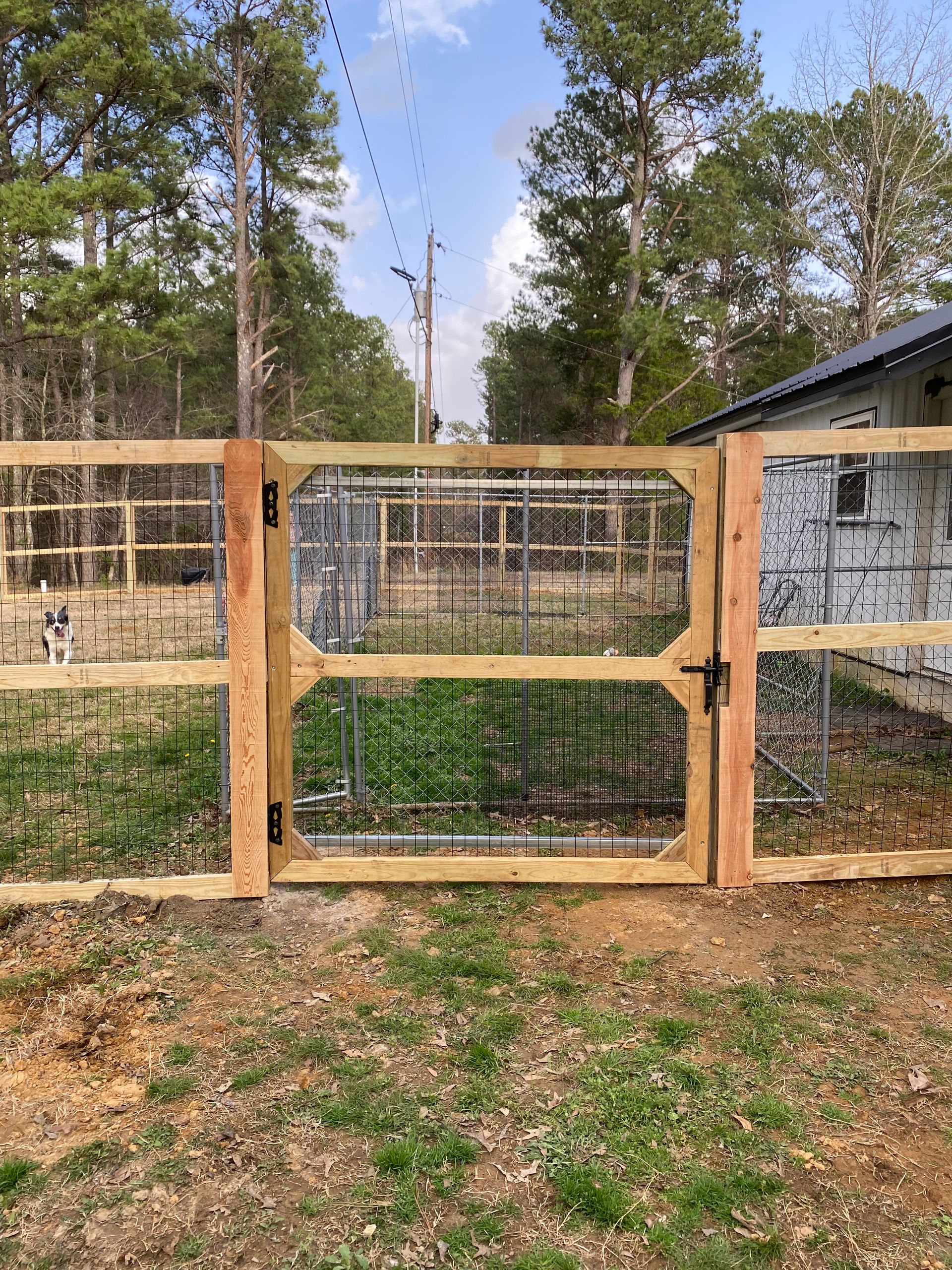 Wooden fence with a gate in a yard, with a building and trees in the background.