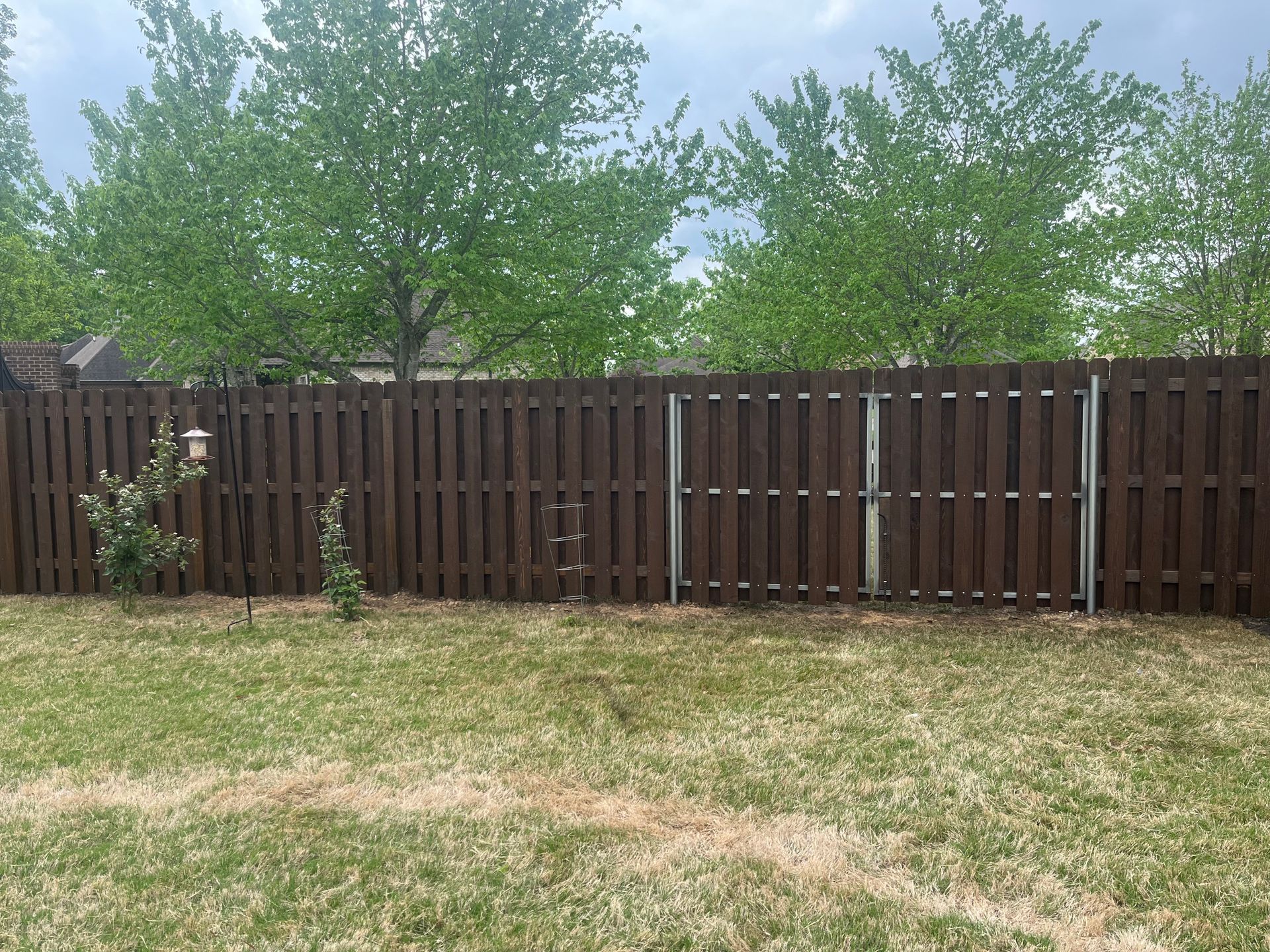 Brown wooden fence with gate in backyard, grass lawn, trees in background.