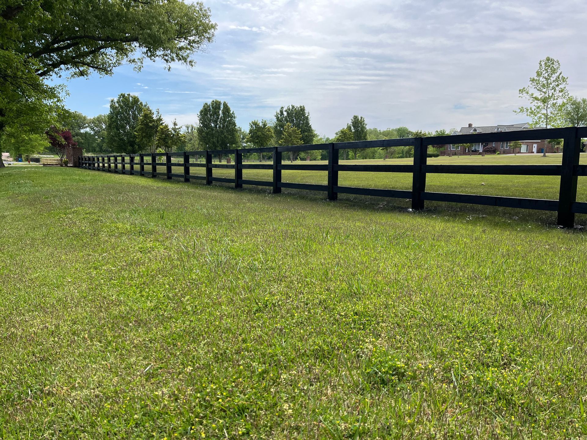 Black fence stretches across green grassy field. Trees and sky in the background.