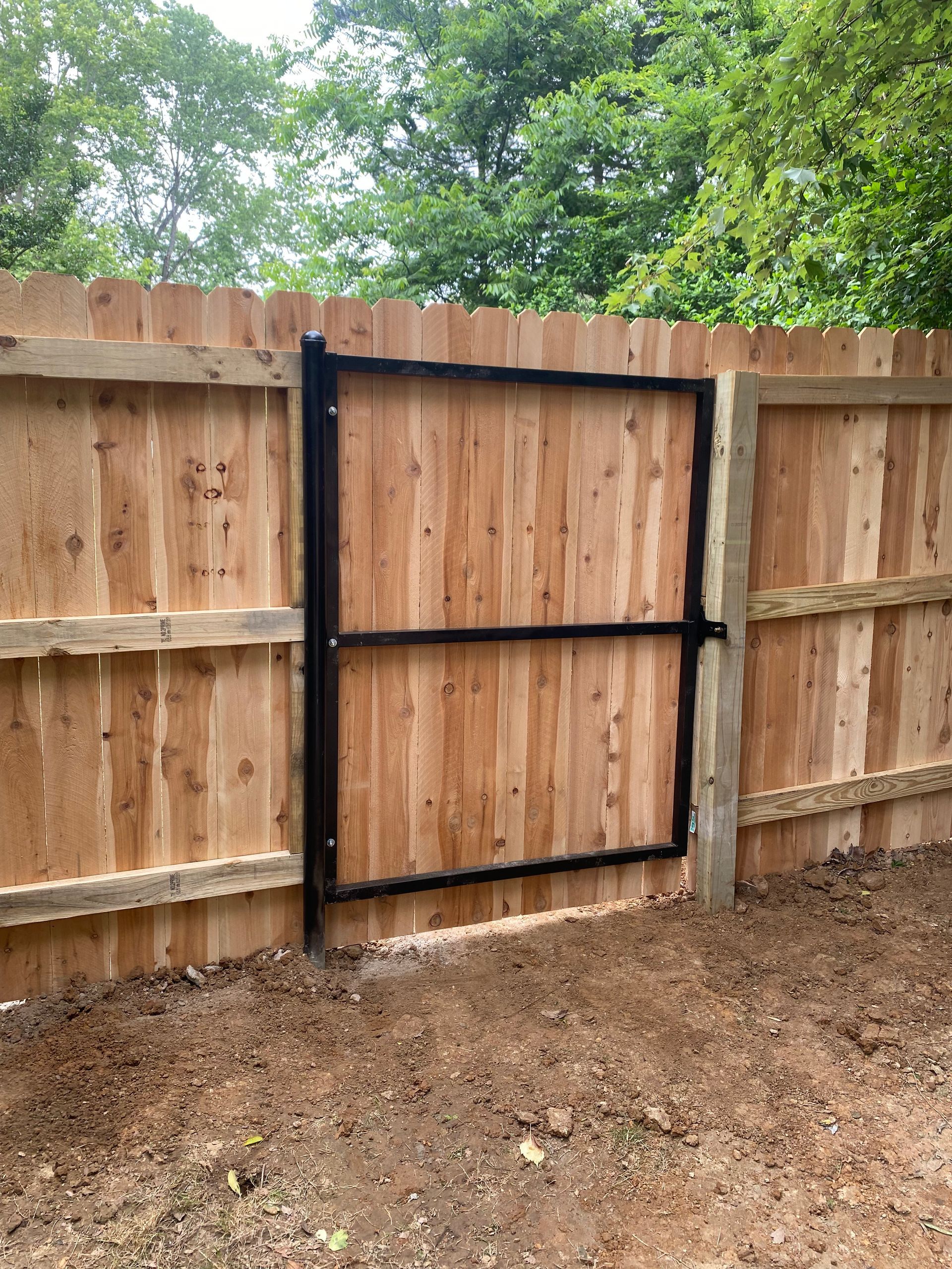 Wooden fence with black metal gate; in a backyard setting.