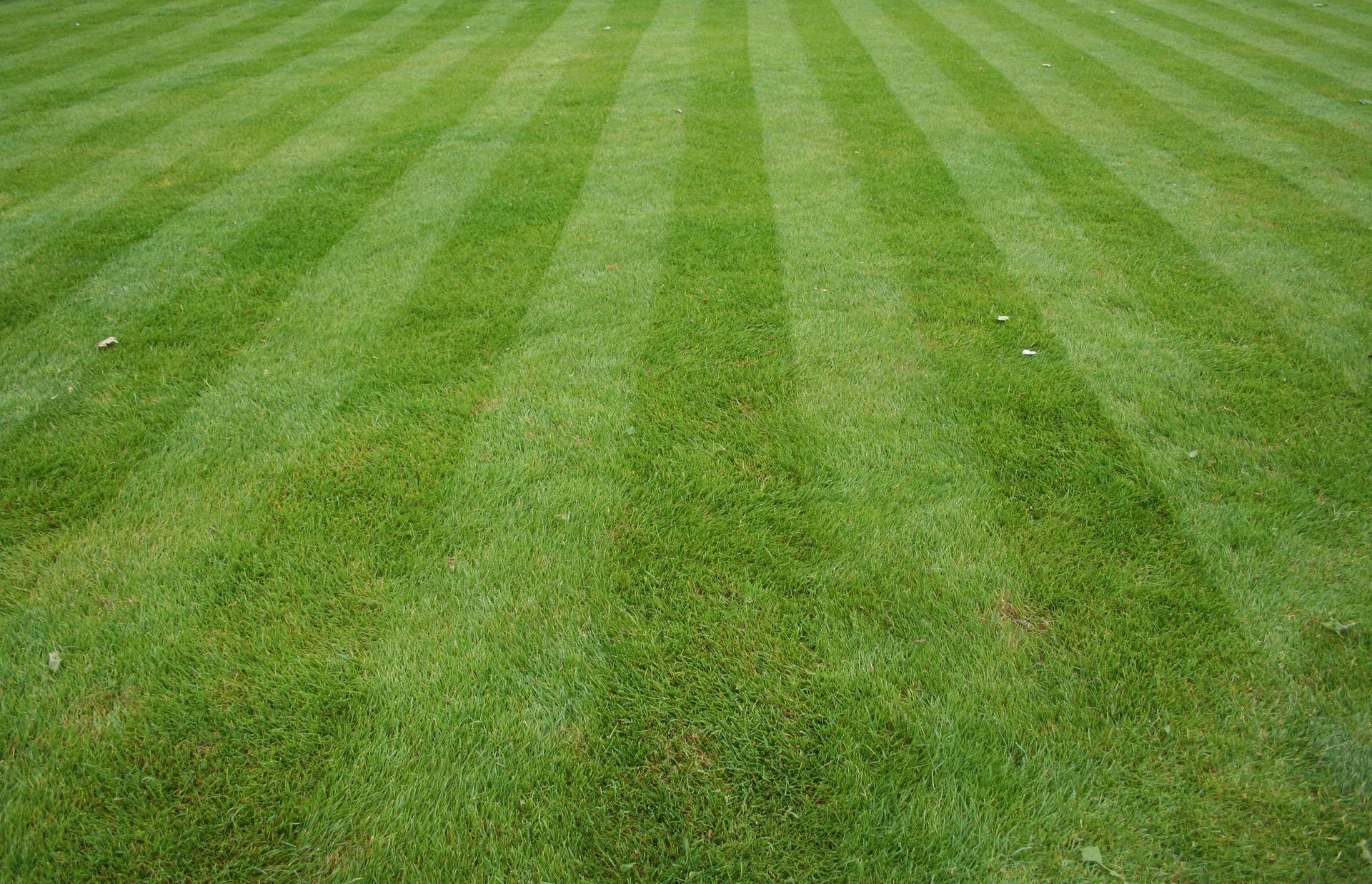 Green-grass-striped