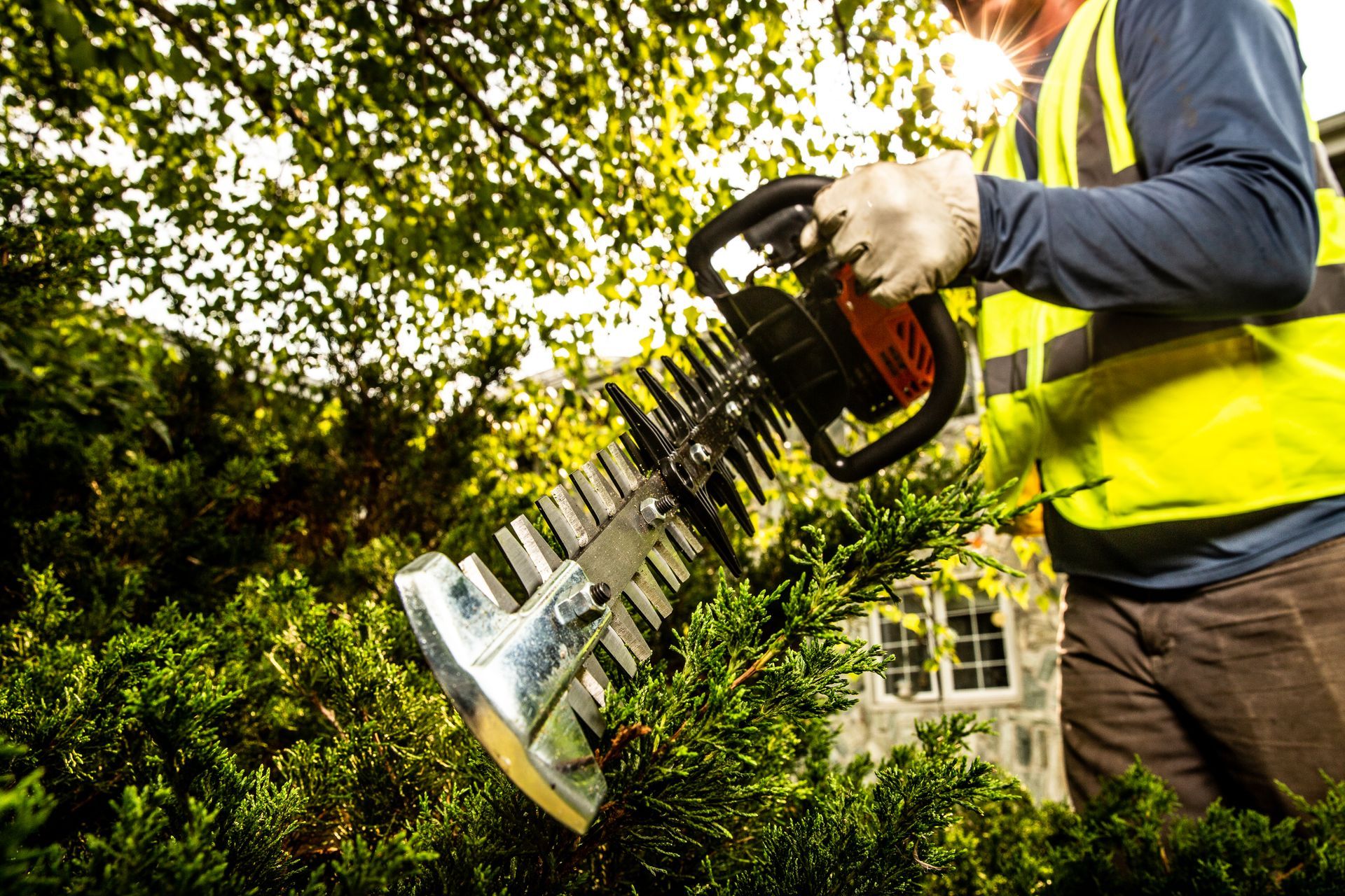 Echo Hedge Trimmer