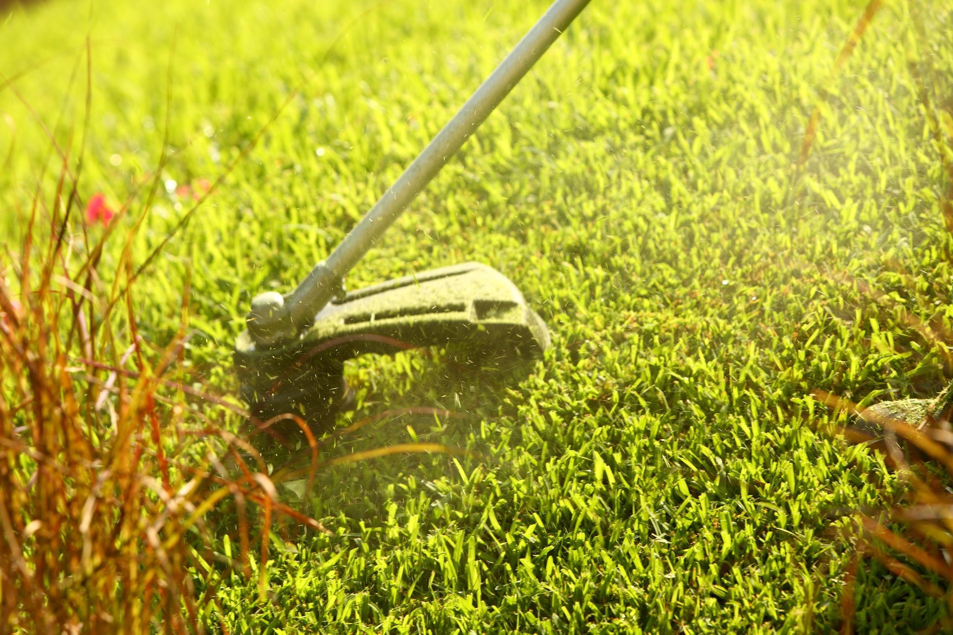 Echo Trimmer Being Used