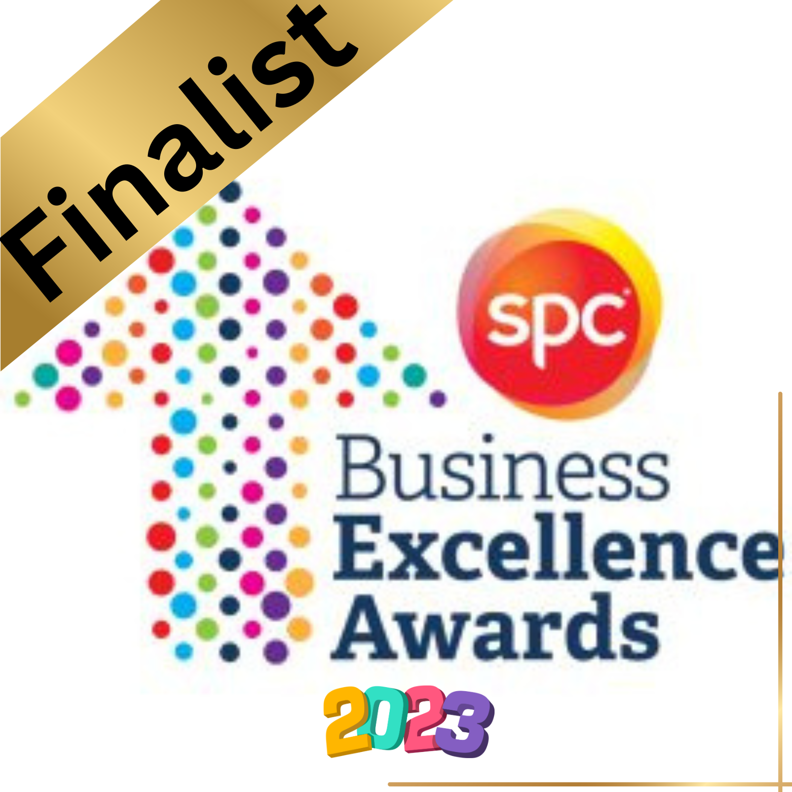 Business Excellence Awards Finalist