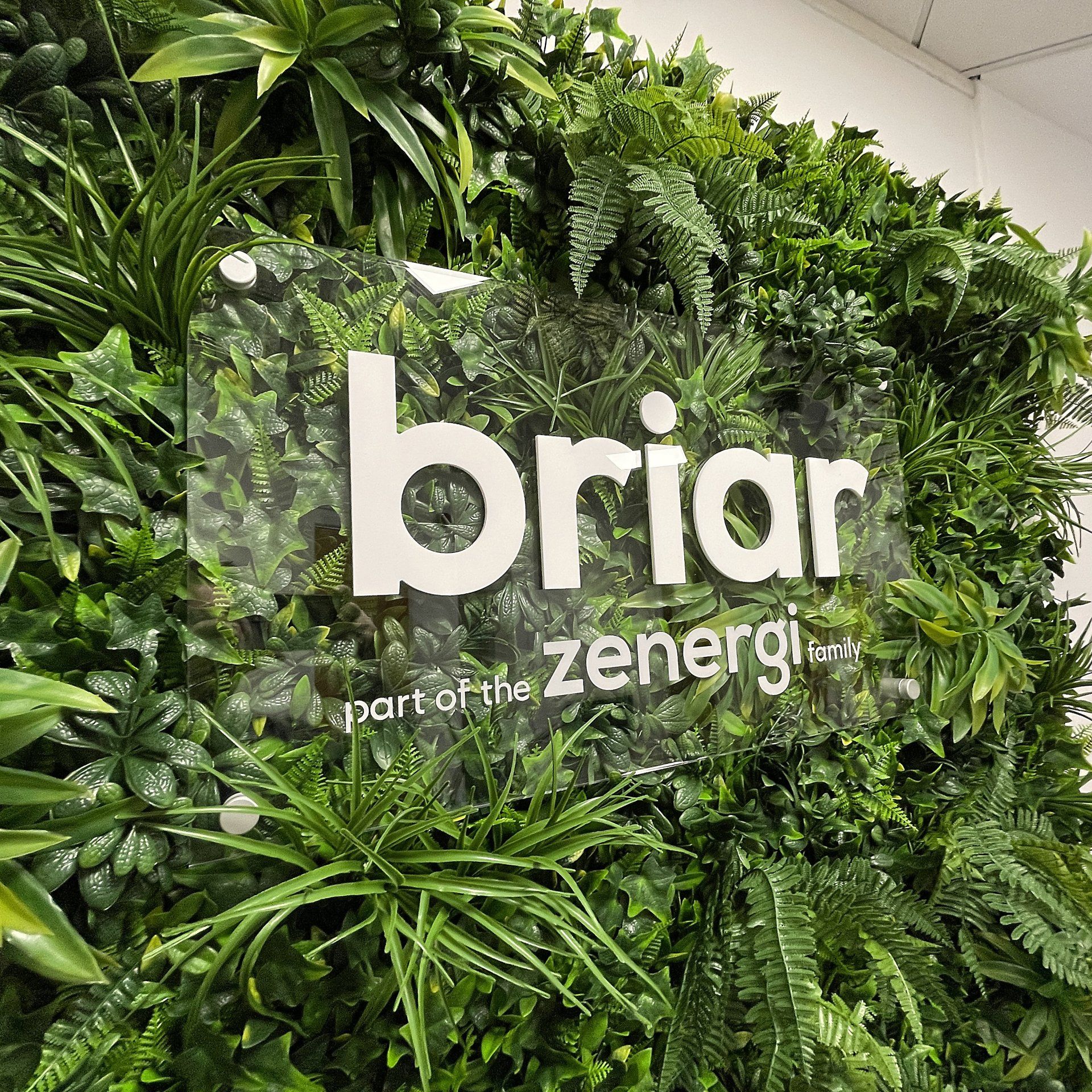 Artificial Living Wall