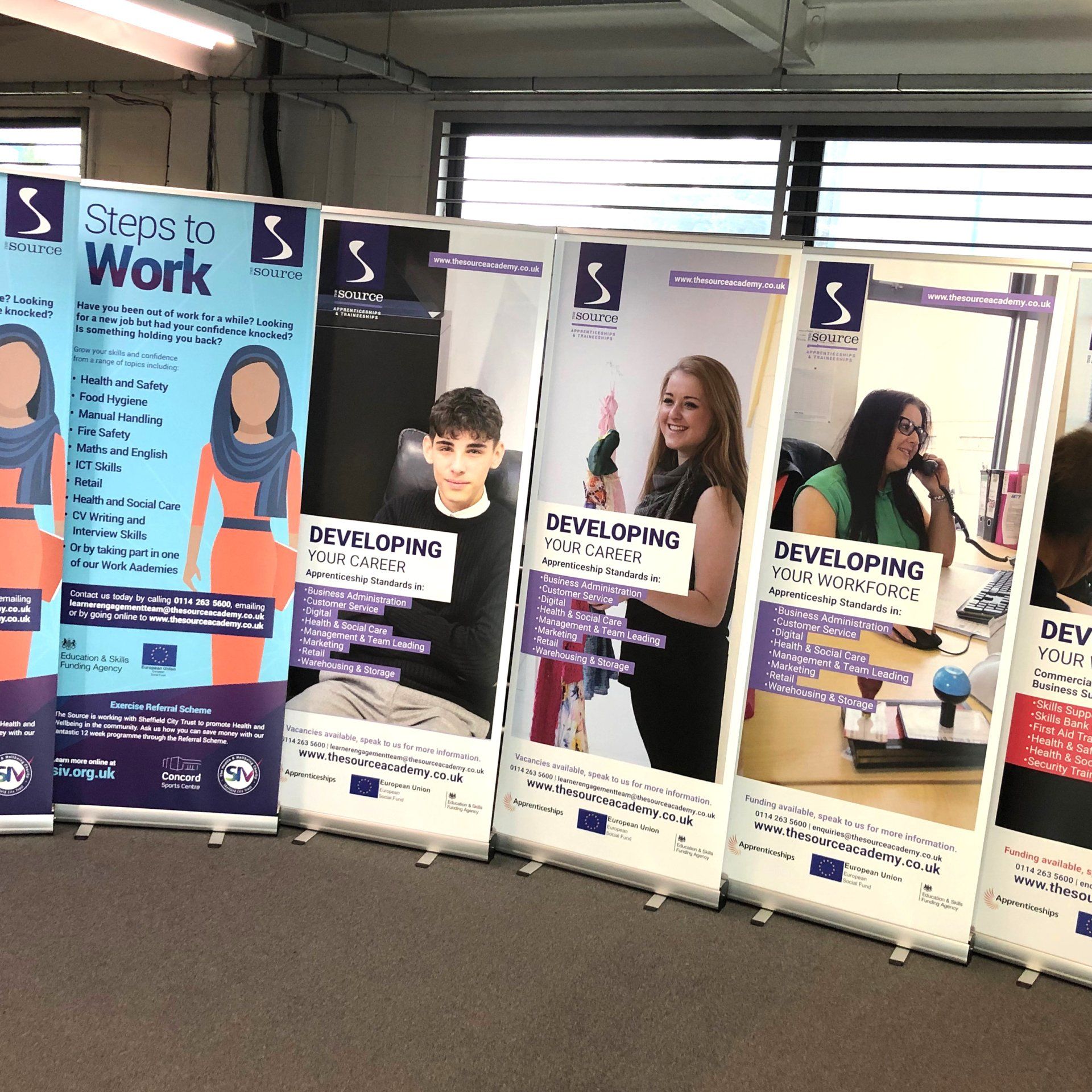 Budget Pull Up Roller