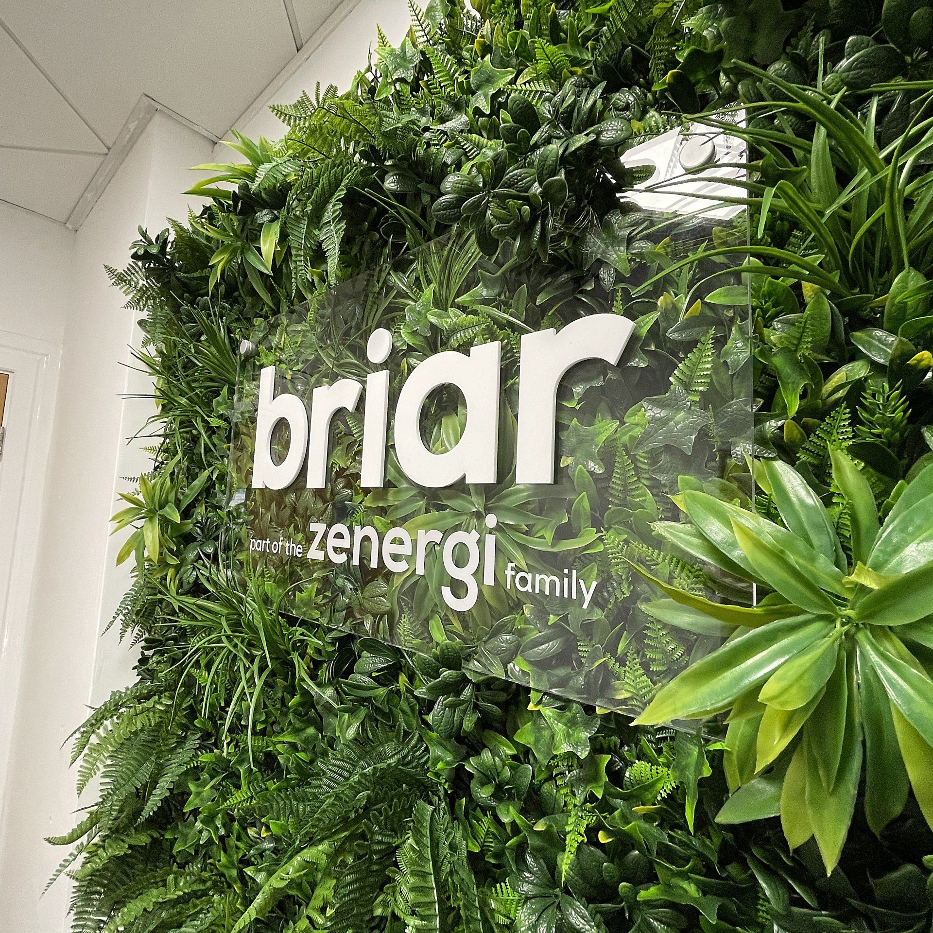 Green Wall with Acrylic