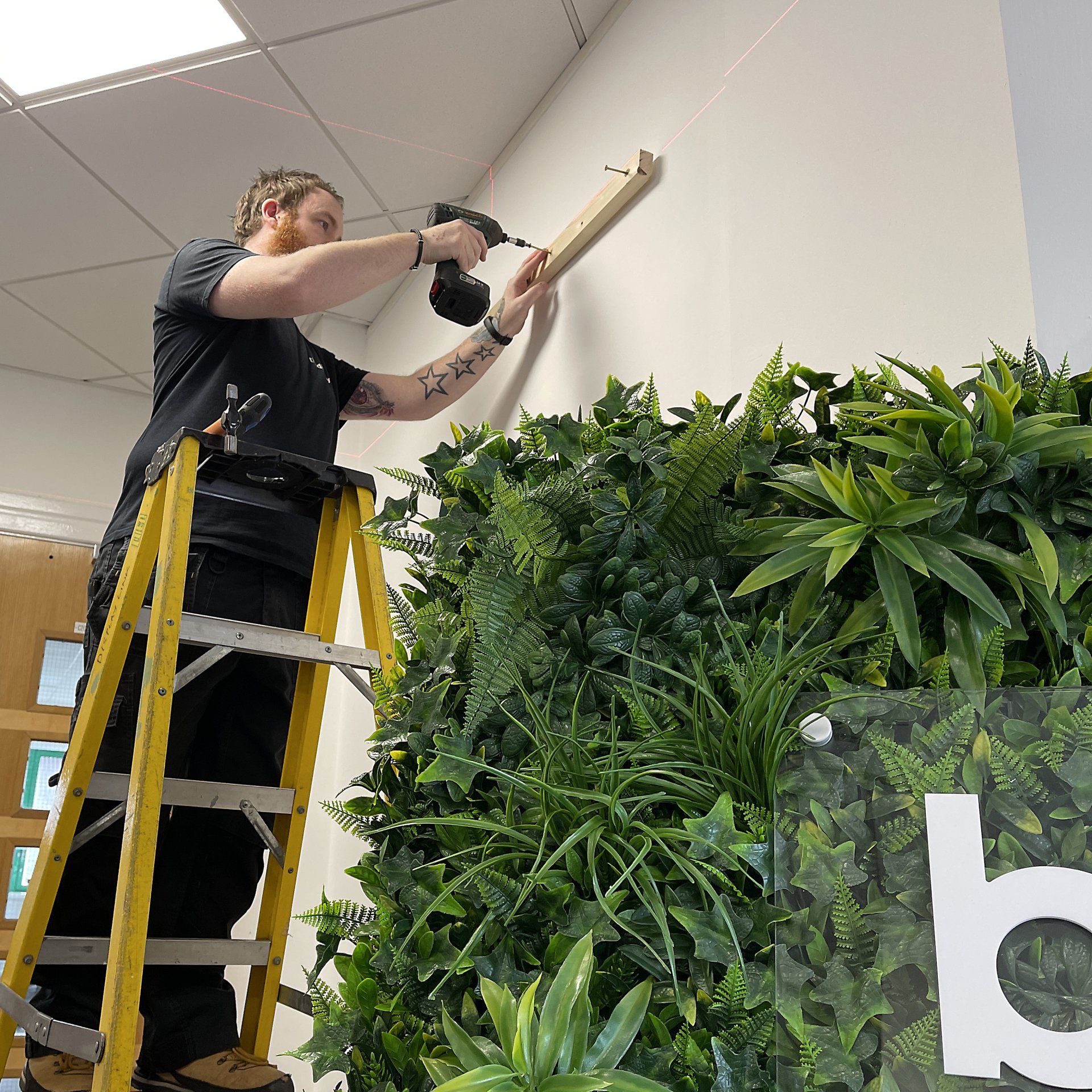 Green Wall Installation Service