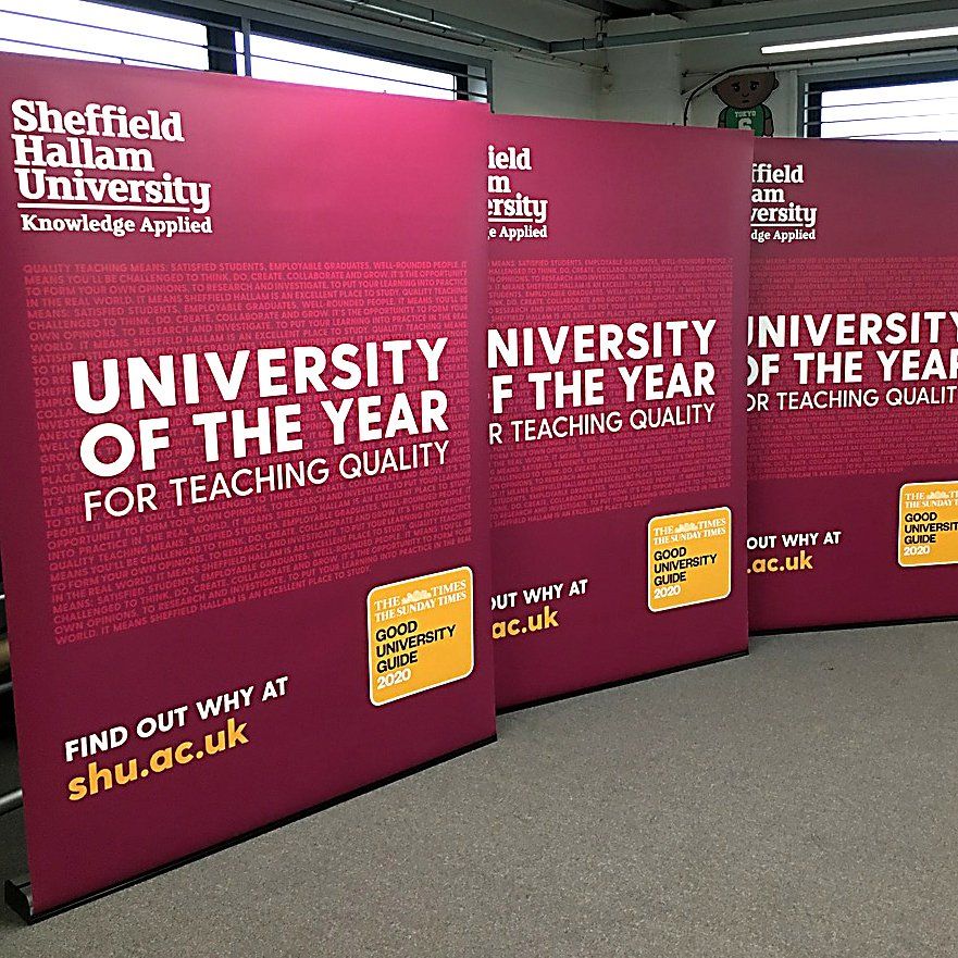 Sidewinder Pull Up Stands