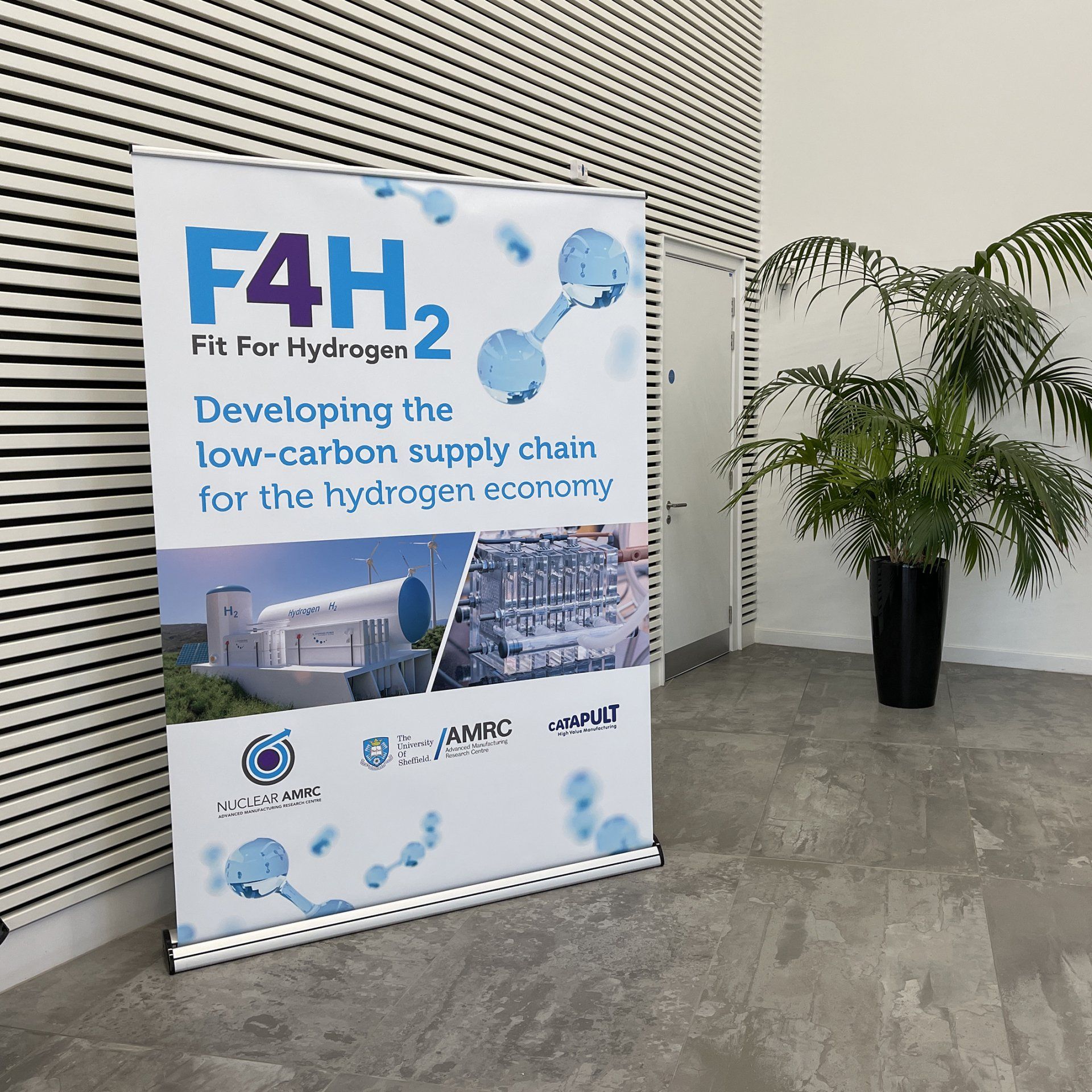 Barracuda Pull Up Stands