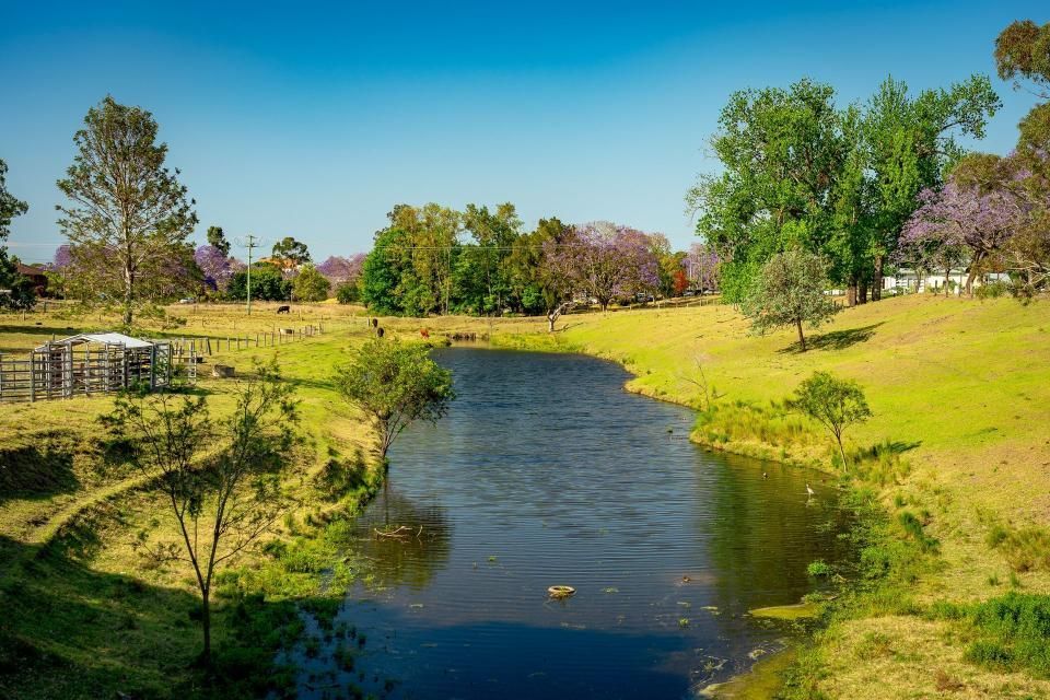 A River Runs Through a Grassy Field Surrounded by Trees — Doggy Diva Grooming In Grafton, NSW