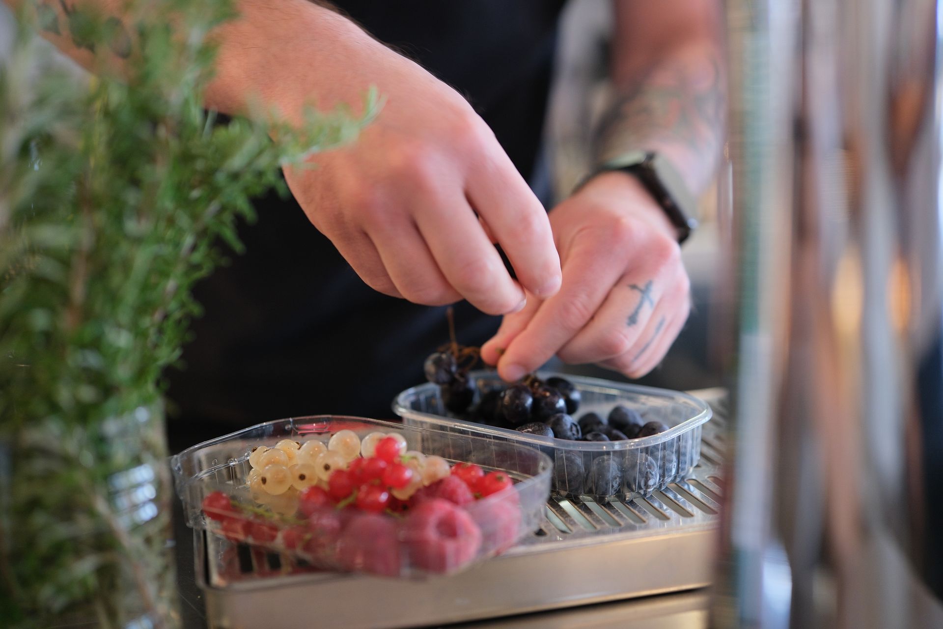 Persona che sistema bacche, tra cui lamponi, ribes bianchi e ciliegie scure, vicino a una pianta.