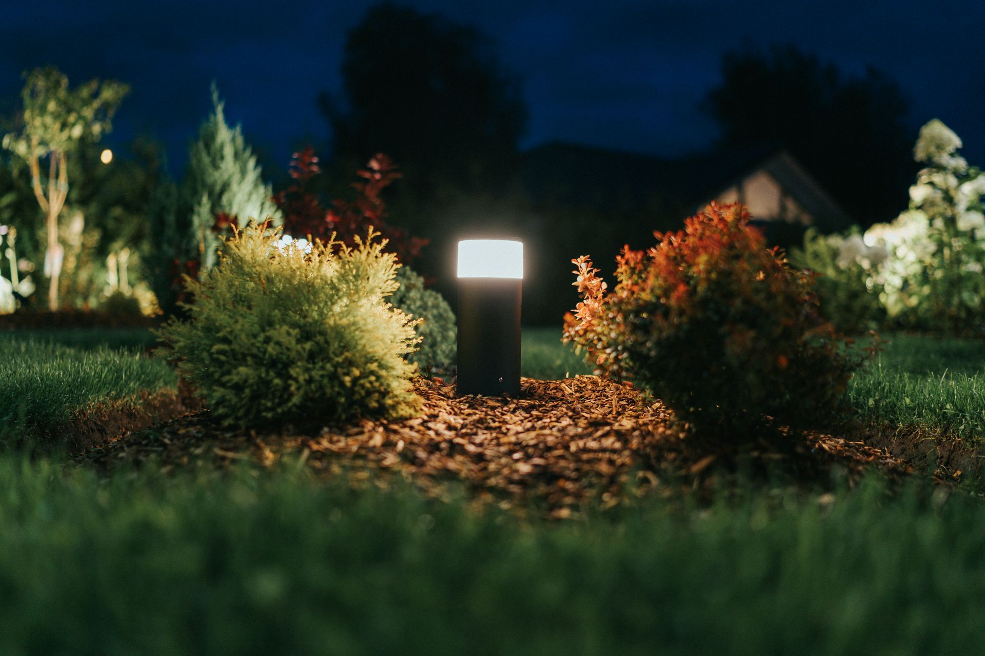 Garden at night lit by a rectangular pillar lamp, surrounded by shrubs, mulch, and grass.