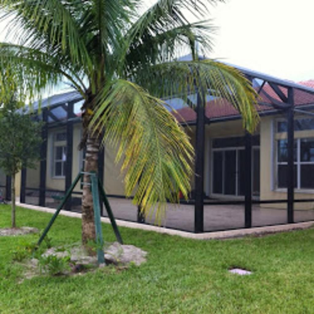 A house with a screened in porch and a palm tree in front of it