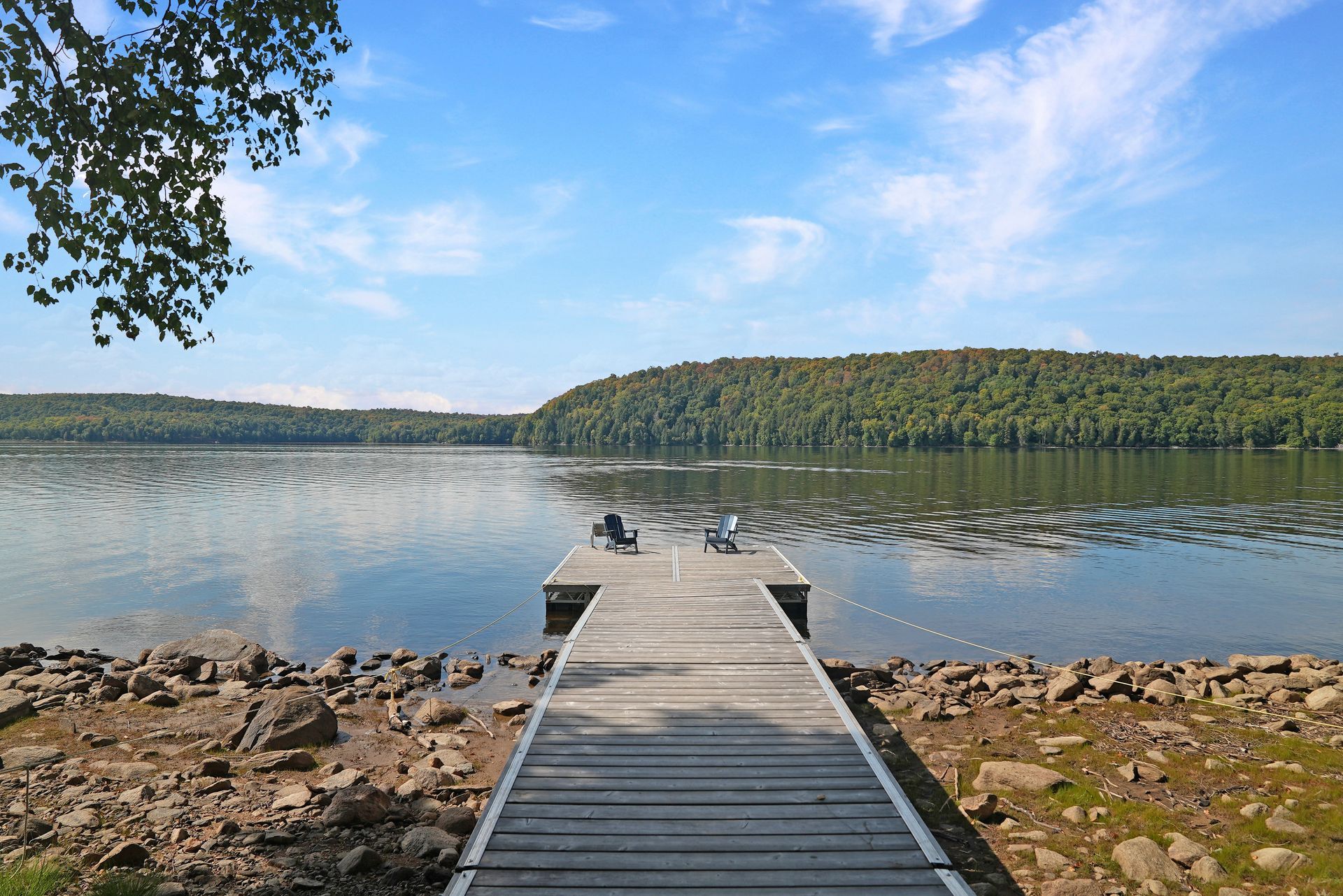 A dock leading to a house in the woods