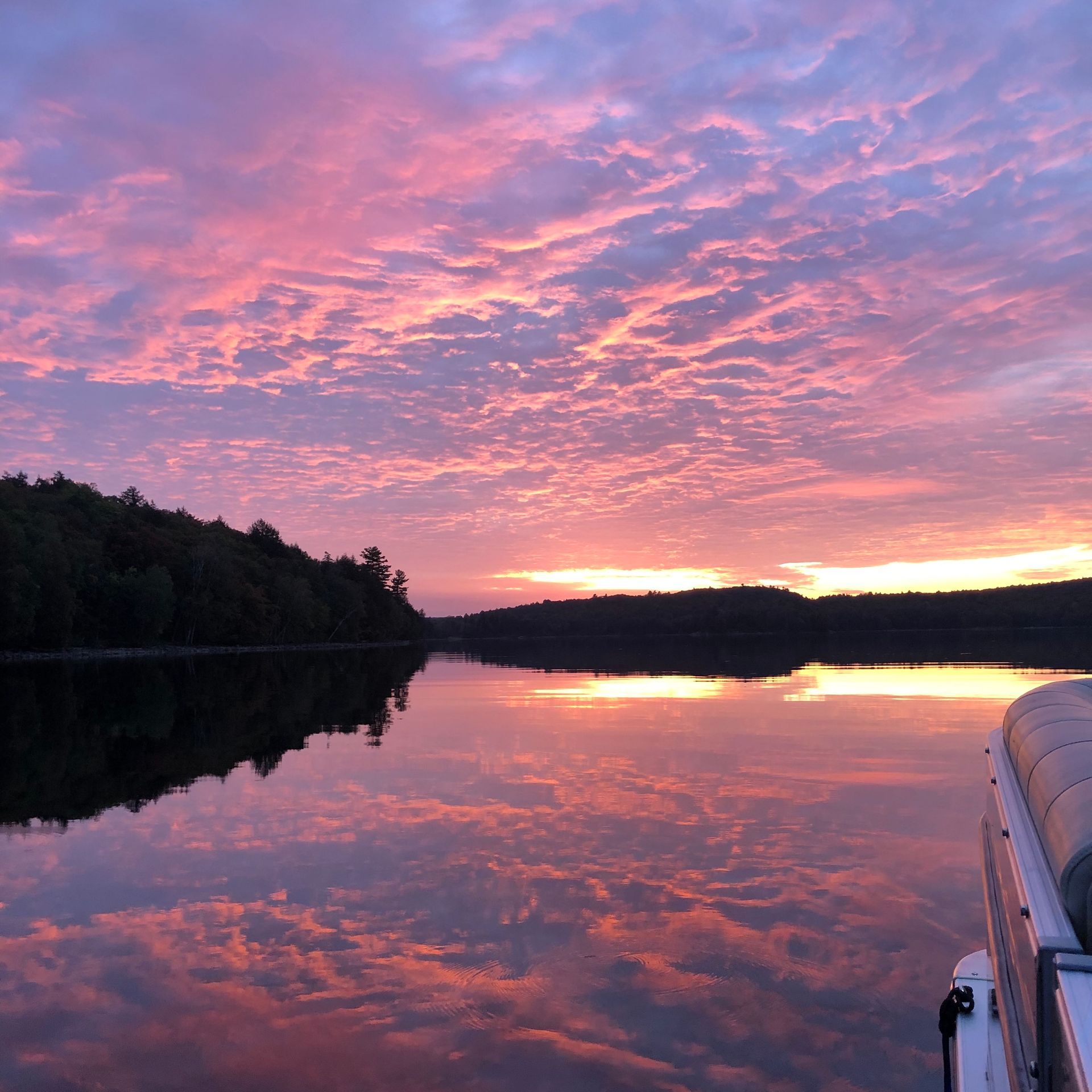 An aerial view of a garage in the middle of a forest.
