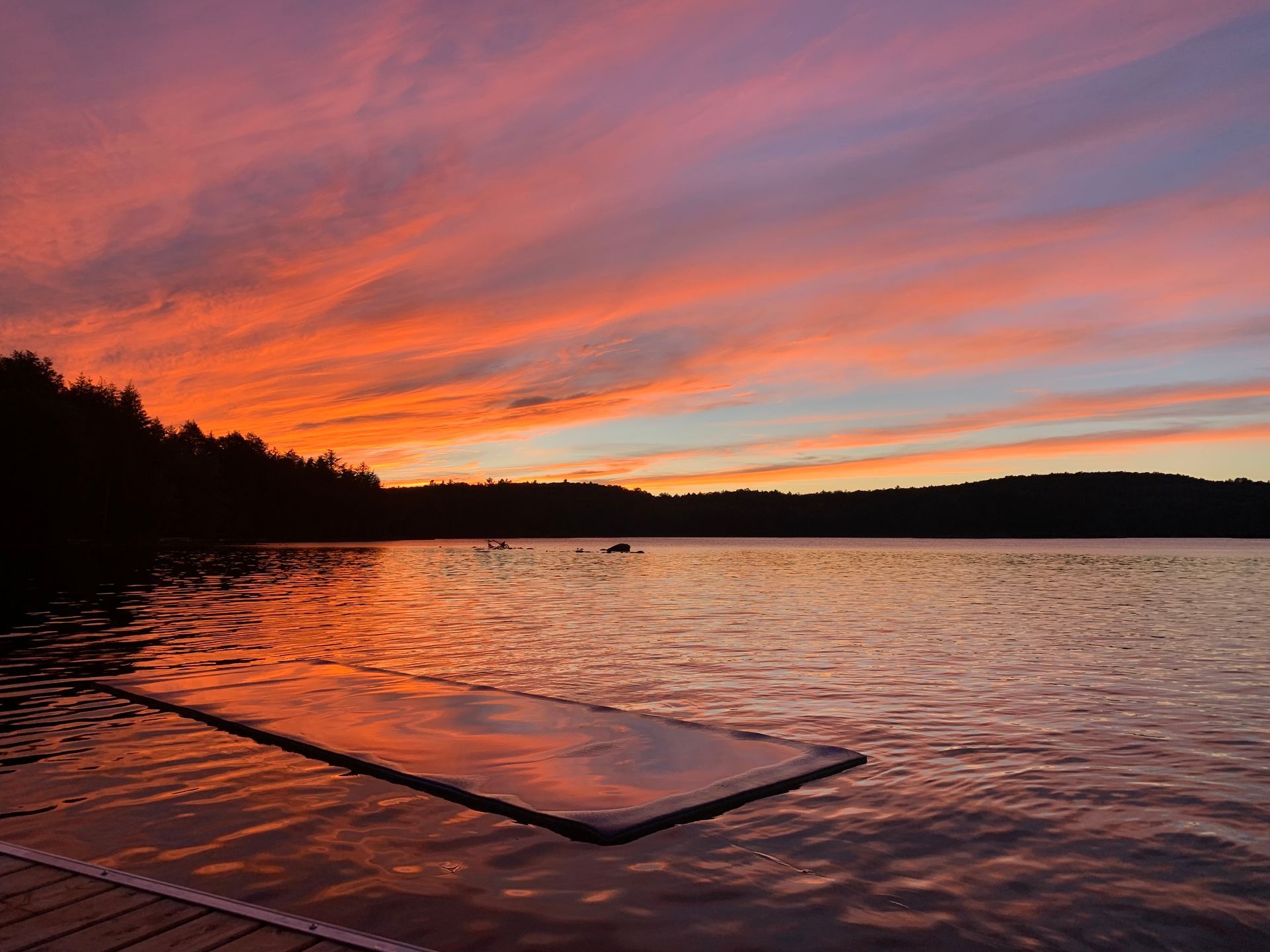A dock leading to a house in the woods