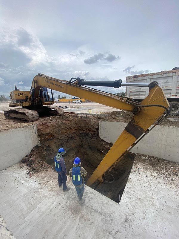 DEMOLICIONES INMEDIATAS DEL SUR