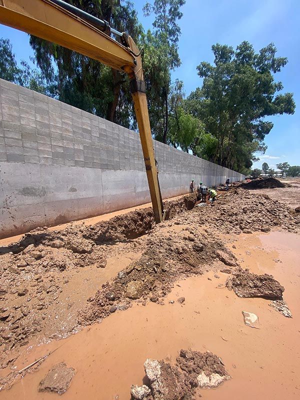 DEMOLICIONES INMEDIATAS DEL SUR