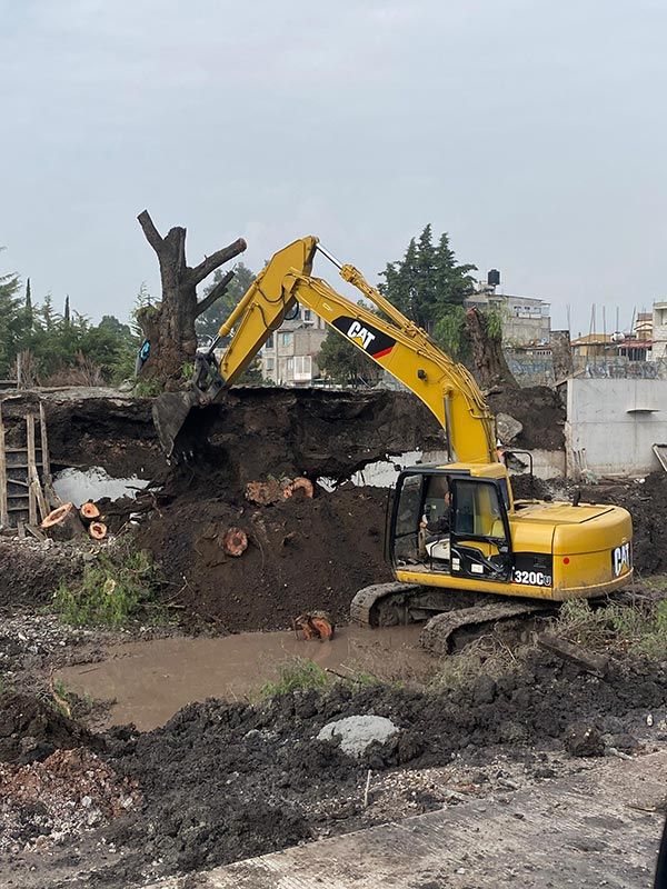 DEMOLICIONES INMEDIATAS DEL SUR