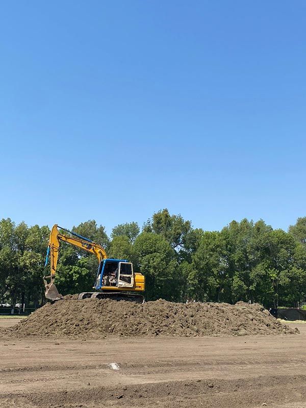 DEMOLICIONES INMEDIATAS DEL SUR