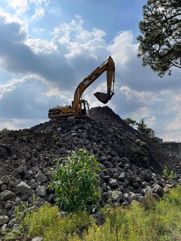 DEMOLICIONES INMEDIATAS DEL SUR