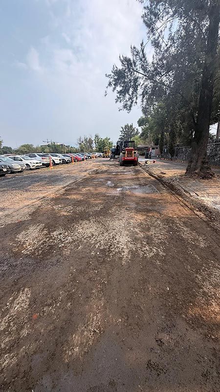 DEMOLICIONES INMEDIATAS DEL SUR