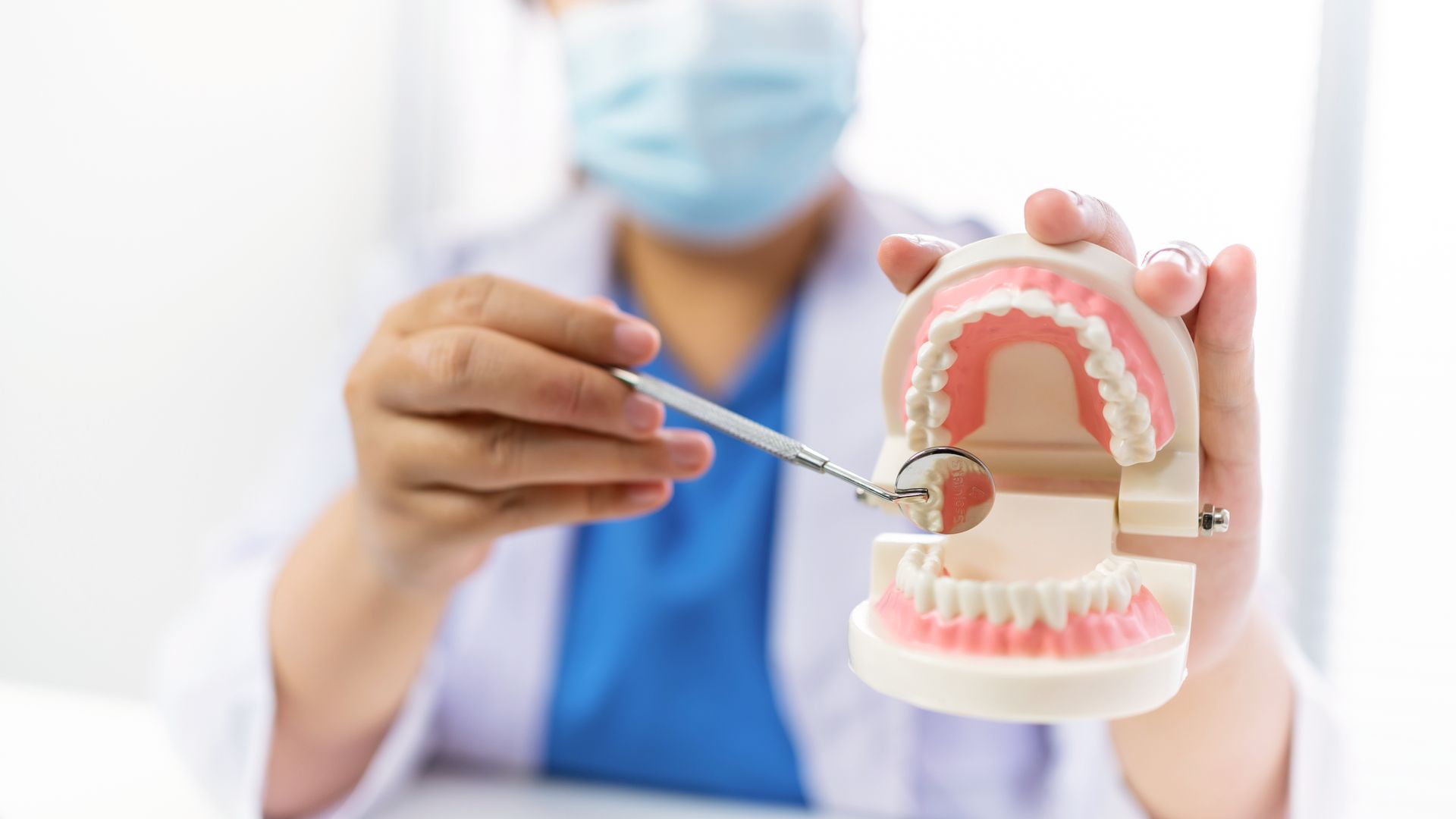 A dentist is examining a model of teeth with a mirror.