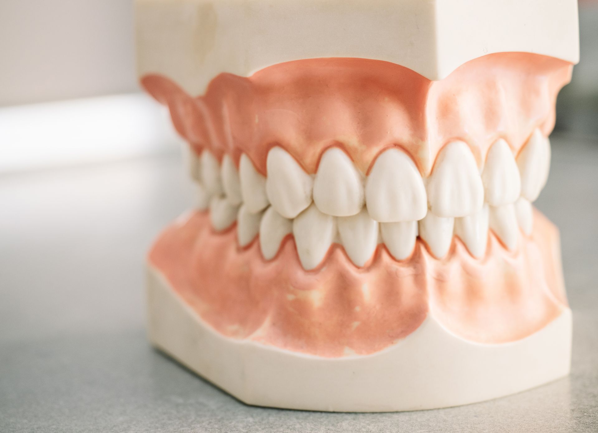 A model of a person 's teeth is sitting on a table.