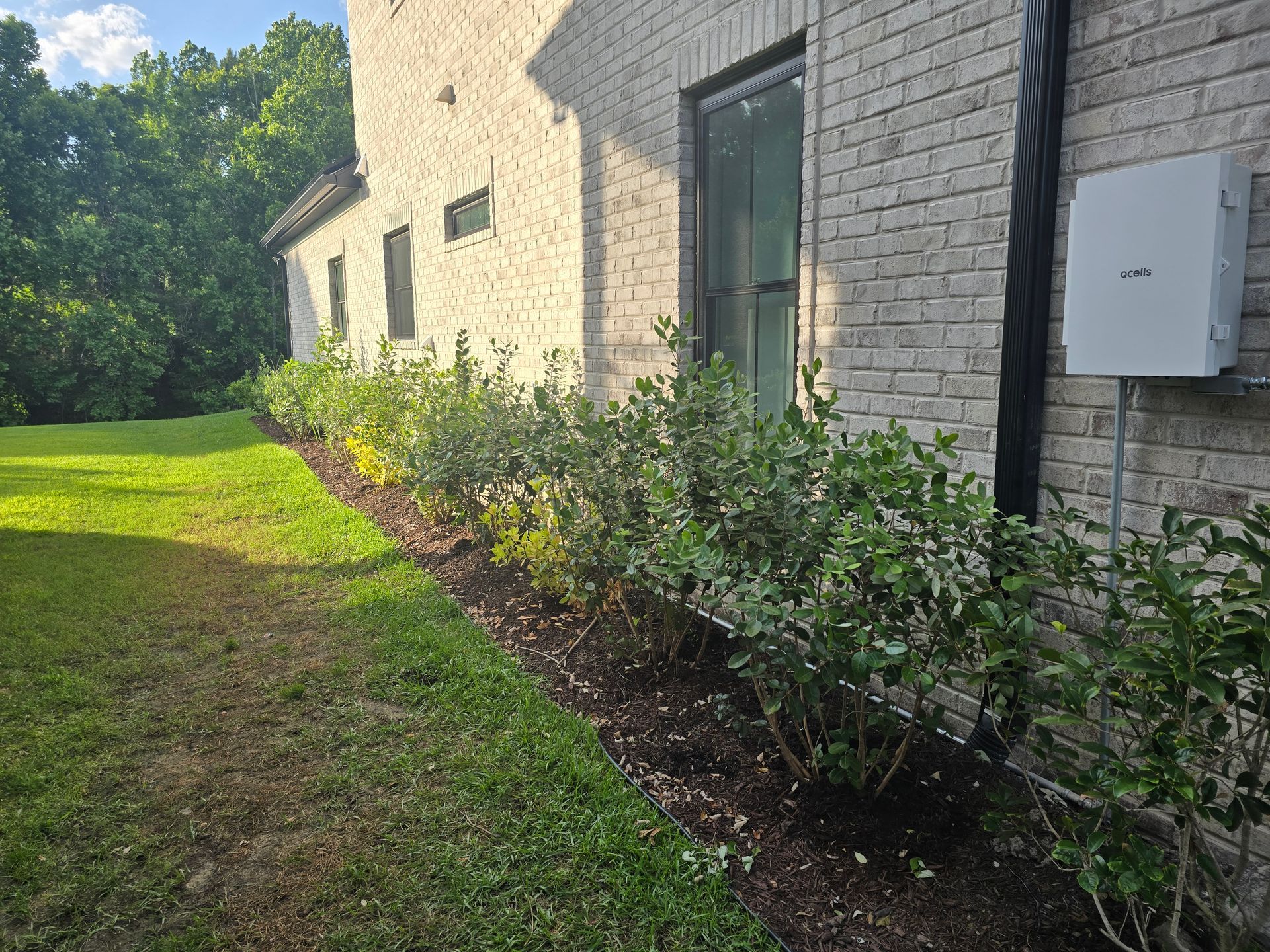 A brick building with a row of green bushes, mulch, and a grassy lawn.