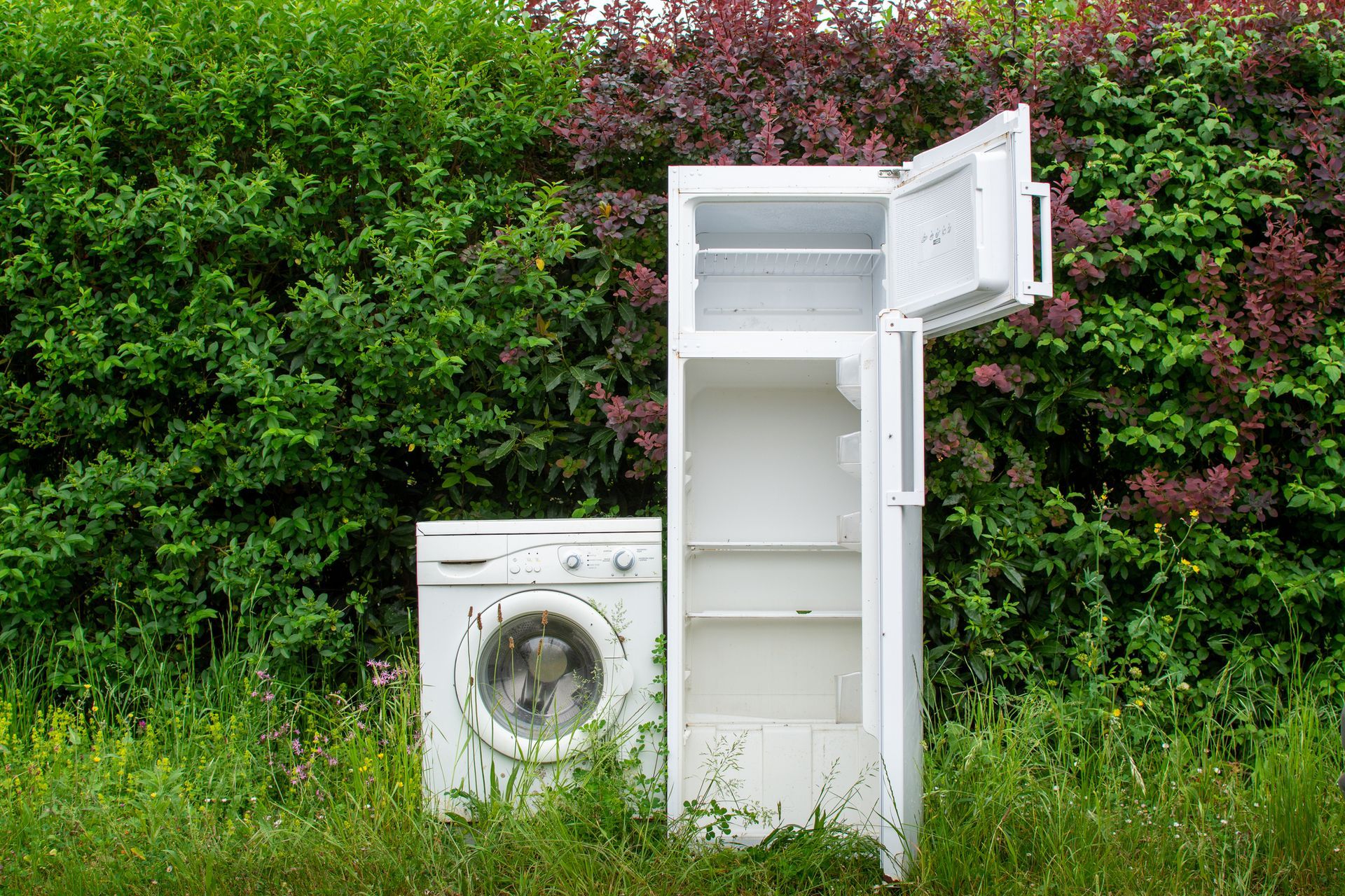 Old washing machine and open fridge placed outdoors near bushes for recycling.