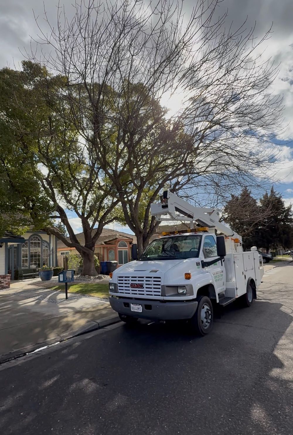A white truck is parked on the side of the road next to a tree.