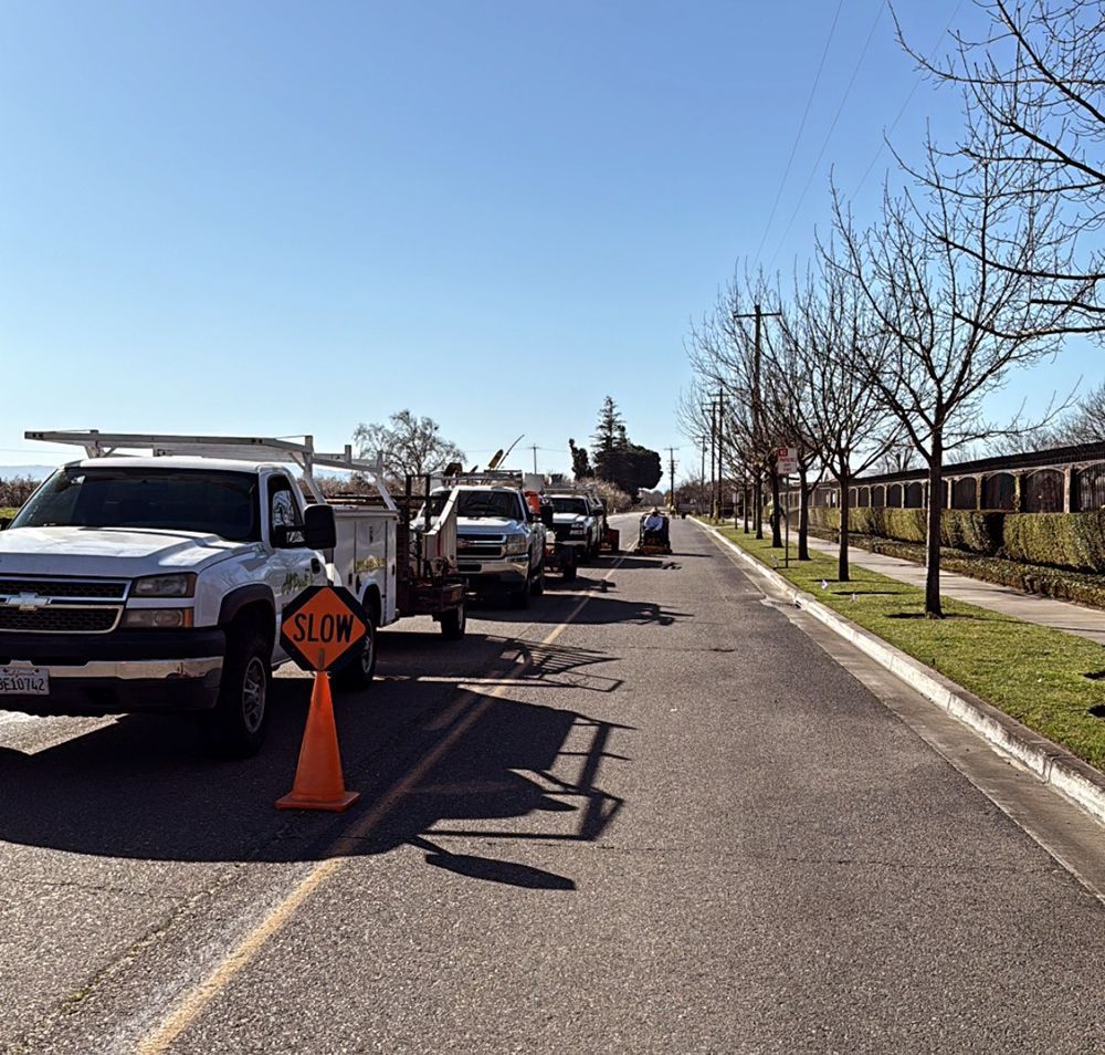A row of trucks are parked on the side of the road with a sign that says slow