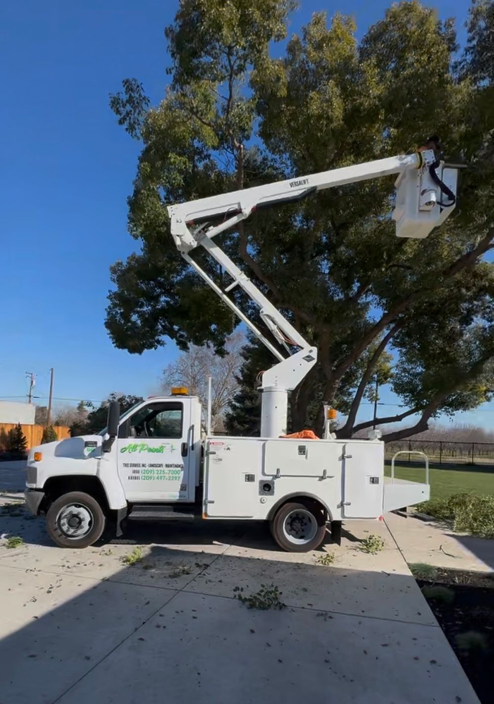 A white truck with a crane attached to it is cutting a tree.