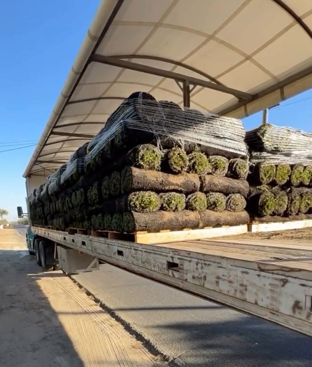 A truck is loaded with rolls of grass on the back of it