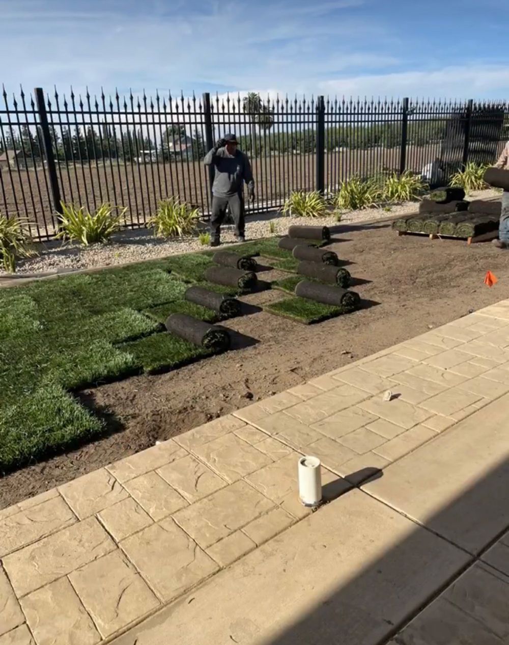 A man is laying turf in a backyard next to a fence.