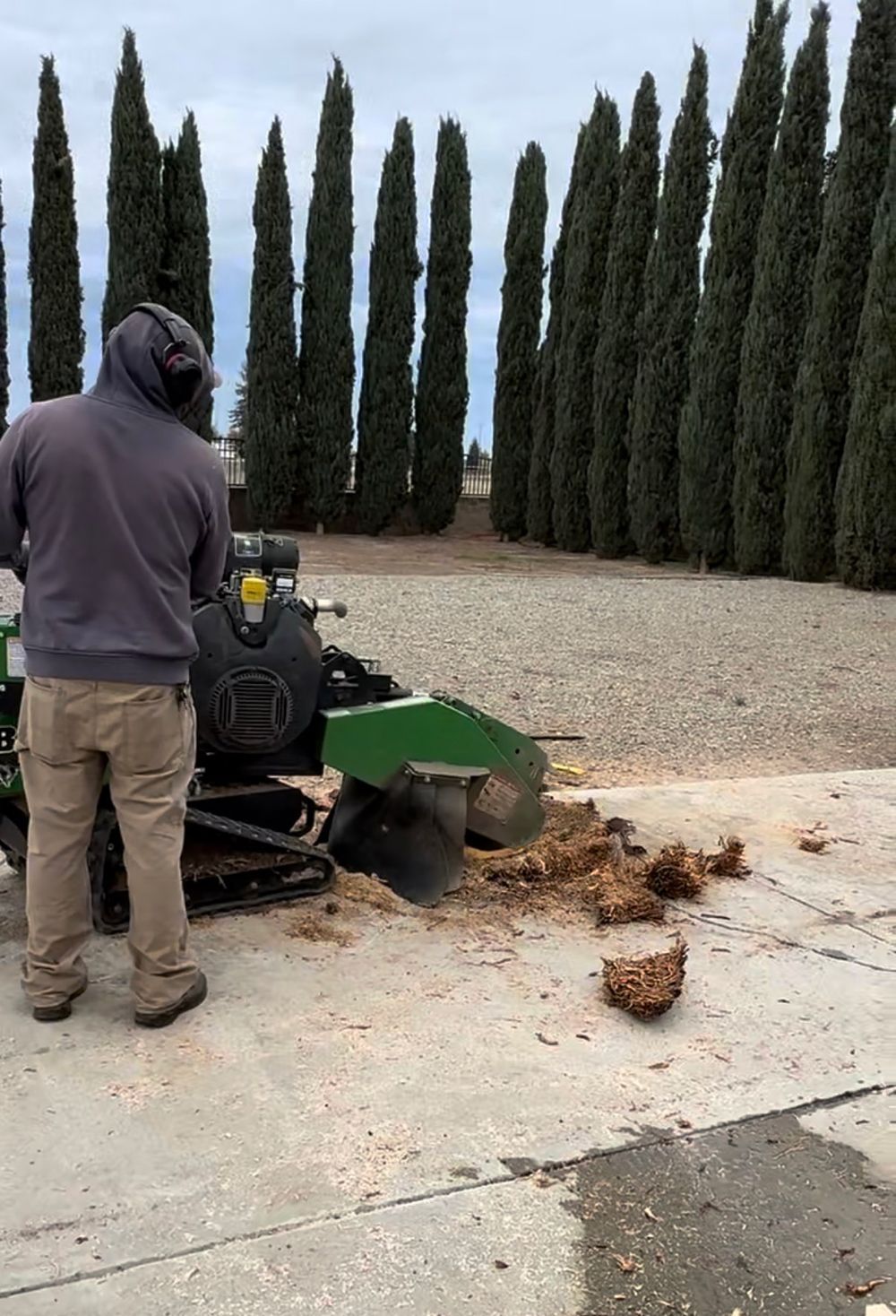 A man is standing next to a machine that is cutting a tree stump.