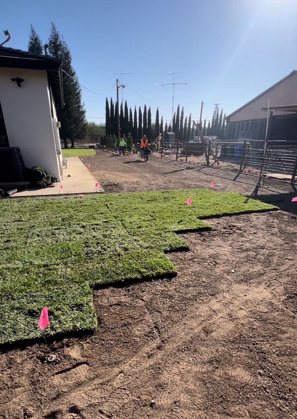 A lawn is being installed in front of a house.