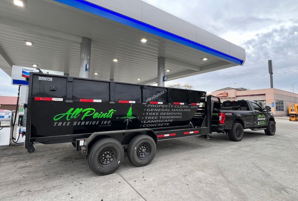 A dumpster and a truck are parked in front of a gas station.