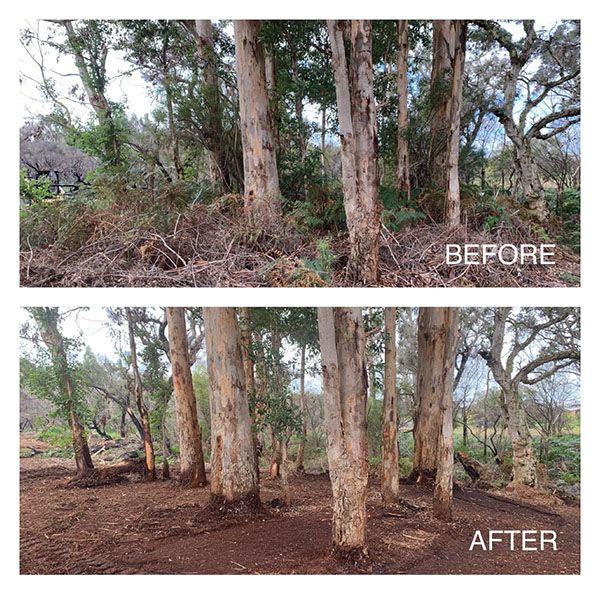 Eco Land Clearing Before and After Clearing Margaret River