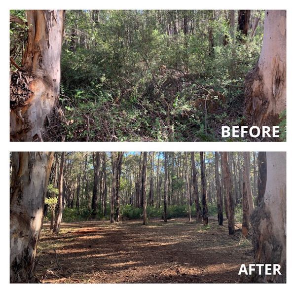 Eco Land Clearing Before and After Clearing Margaret River