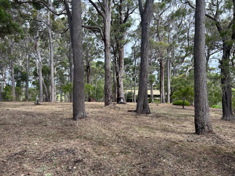 Forestry mulching